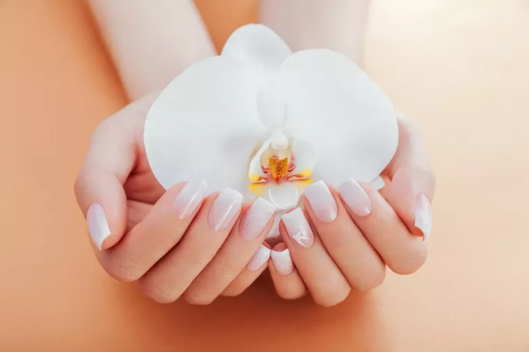  Idées de design pour rallongement gel sur chablon, Montreuil-sur-Mer, Aman'Beauté